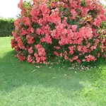 Residenza Gavioli Via Angelelli - Parco Navile 아파트 카스텔마조레