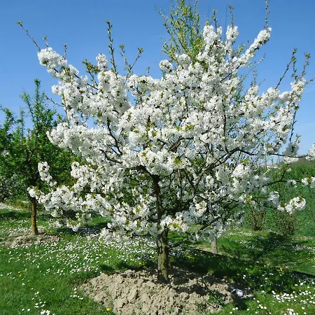 Apartamento Residenza Gavioli Via Angelelli - Parco Navile Castel Maggiore