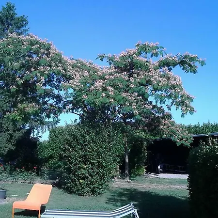 Apartment Residenza Gavioli Via Angelelli - Parco Navile *