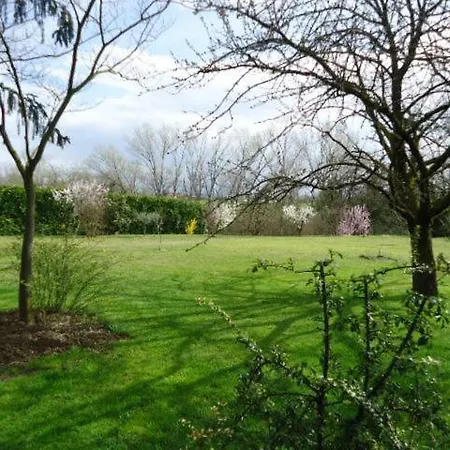 Apartment Residenza Gavioli Via Angelelli - Parco Navile Castel Maggiore