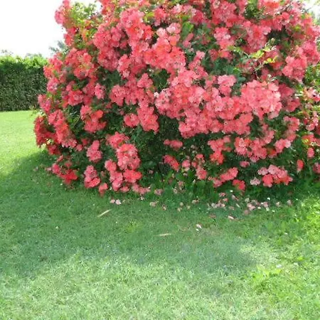 Residenza Gavioli Via Angelelli - Parco Navile Apartment Castel Maggiore