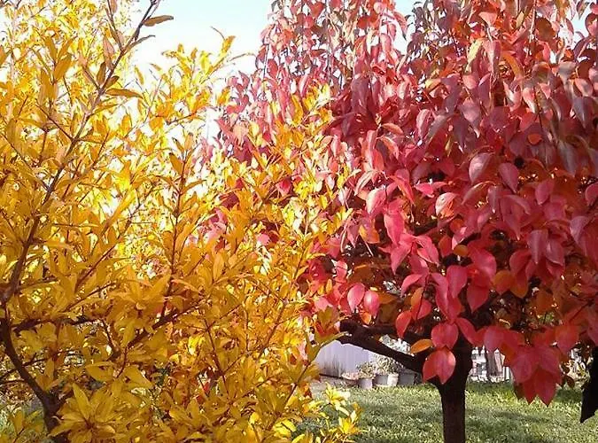 Residenza Gavioli Via Angelelli - Parco Navile *