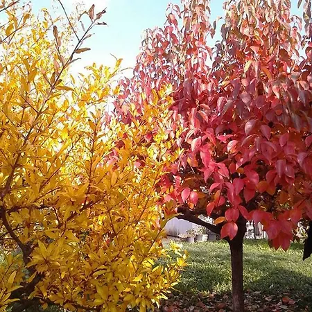 Residenza Gavioli Via Angelelli - Parco Navile *