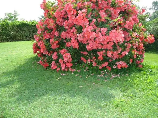 Residenza Gavioli Via Angelelli - Parco Navile Διαμέρισμα Καστέλ Ματζιόρε